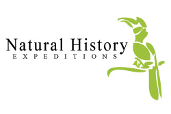 Natural History Expeditions logo design