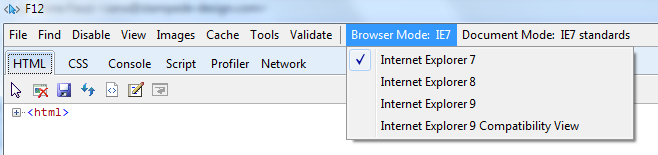 IE developer tool