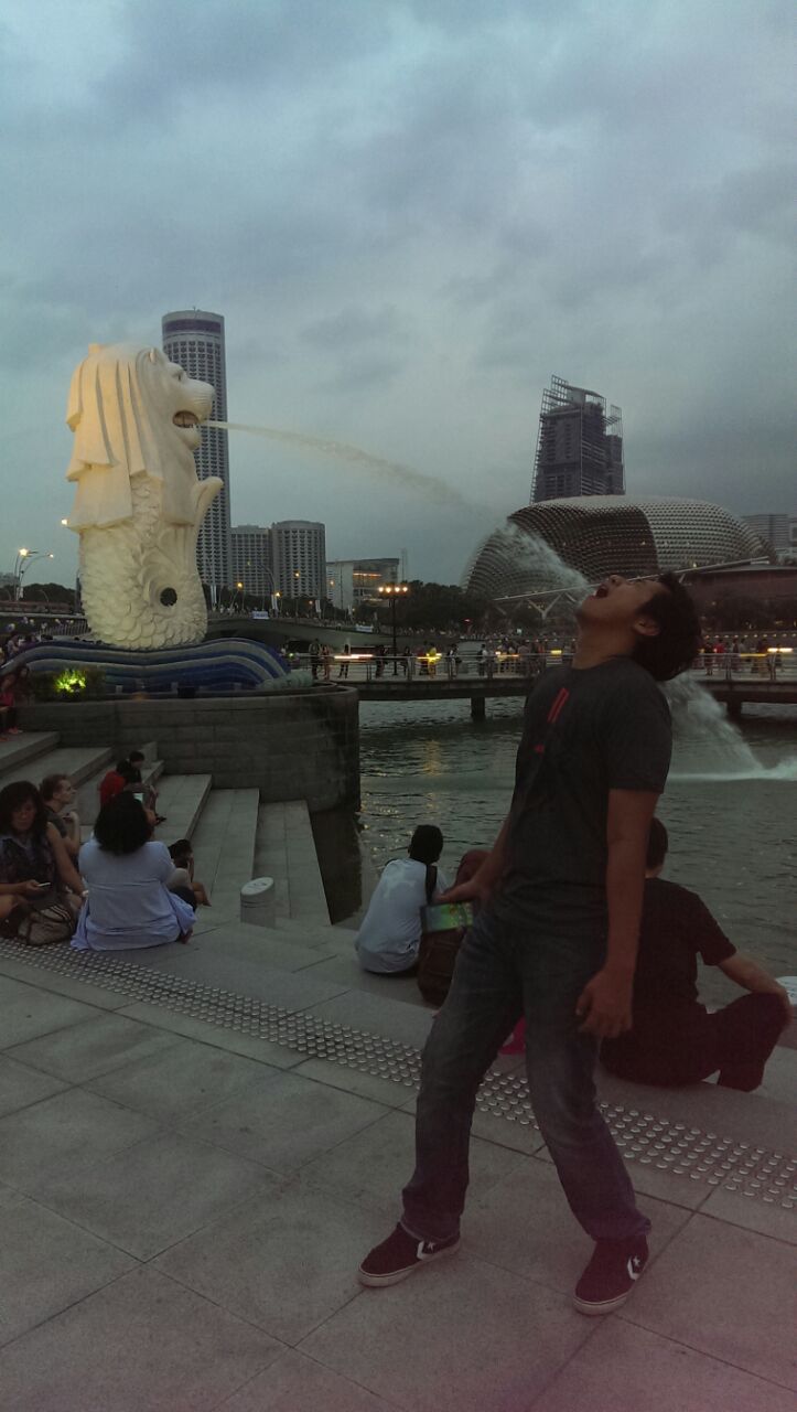 sani-with-merlion