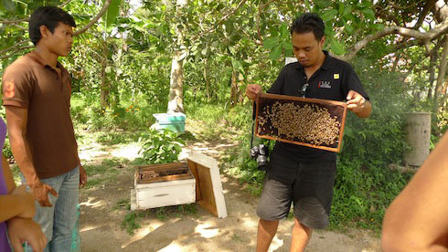 Thep-Prasit Bee Farm