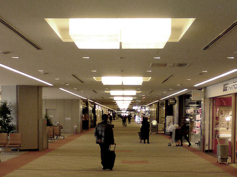 At Narita Airport