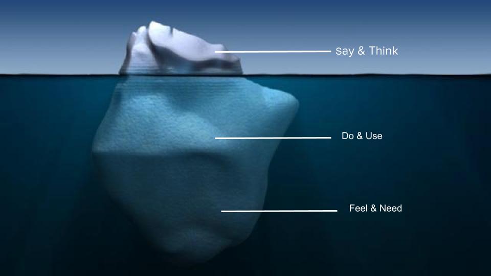 A survey is like trying to understand the depth of an iceberg from the surface